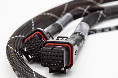 Fueltech FT550 Standalone Honda K20 K24 Series Jumper Adapter Sub Harness