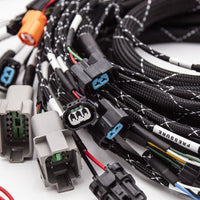 K20/K24 FUELTECH 550 STANDALONE ENGINE HARNESS W/ BUILT IN FUSEBOX