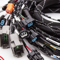 K20/K24 FUELTECH 550 STANDALONE ENGINE HARNESS W/ BUILT IN FUSEBOX