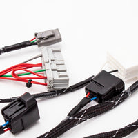 K20/K24 FUELTECH 450 STANDALONE ENGINE HARNESS