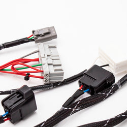 K20/K24 FUELTECH 450 STANDALONE ENGINE HARNESS