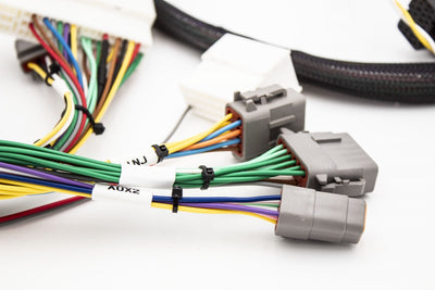 Fueltech FT550 Standalone Honda K20 K24 Series Jumper Adapter Sub Harness