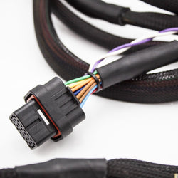 K20/K24 FUELTECH 450 STANDALONE ENGINE HARNESS