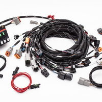 K20/K24 FUELTECH 550 STANDALONE ENGINE HARNESS W/ BUILT IN FUSEBOX