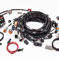 K20/K24 FUELTECH 550 STANDALONE ENGINE HARNESS W/ BUILT IN FUSEBOX