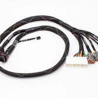 Fueltech FT550 Standalone Honda K20 K24 Series Jumper Adapter Sub Harness