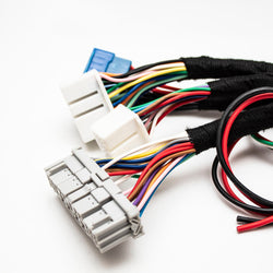 K20 K24 K-Series Tucked Swap Engine Harness V3 RHD, RWD and LHD | Acura | Honda | Carrot Top Tuning