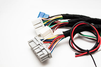 K20 K24 K-Series Tucked Swap Engine Harness V3 RHD, RWD and LHD | Acura | Honda | Carrot Top Tuning